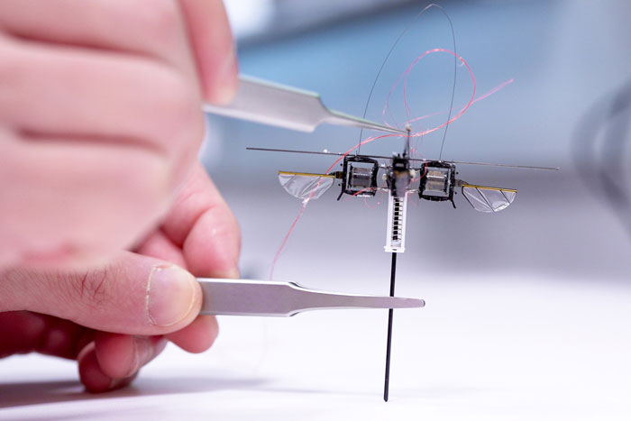 a tiny robot next to a hand